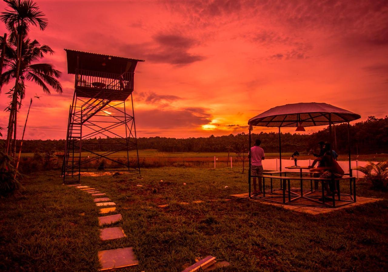 Wildside Jungle Retreat Wayanad Resort By Voye Homes Dış mekan fotoğraf